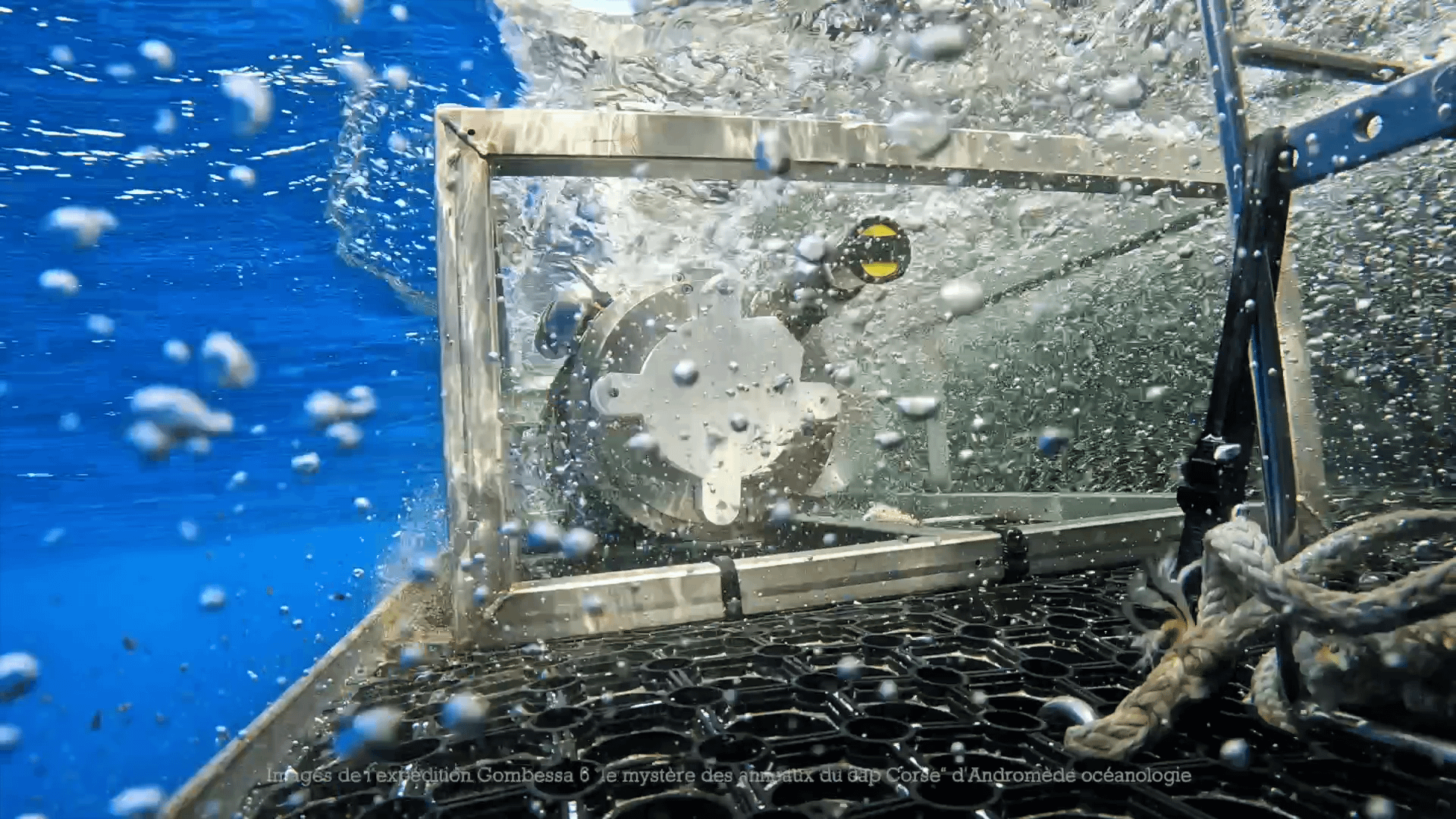 SubOcean methane sensor diving in a cage