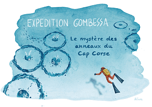 Illustration excerpt from Expedition Gombessa comic strip