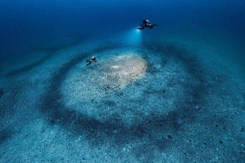 Two divers observing a striking underwater ring formation off Cap Corse